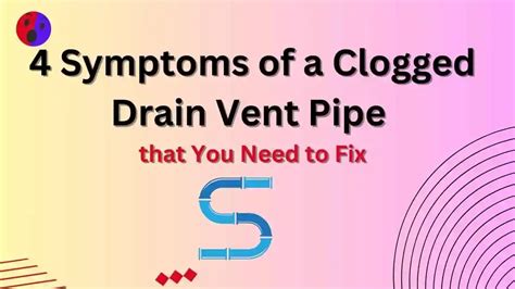 plumbing vent leaking water|Signs of Clogged Plumbing Vent and How to Unclog It